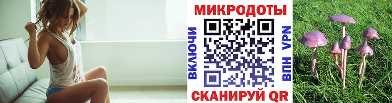 Псилоцибиновые грибы Psilocybe  МЕГА ONION  Невель  купить  цена 